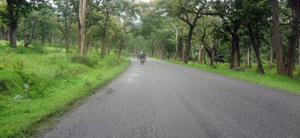 Mudumulalai_Wildlife_Sanctuary_Roads_3